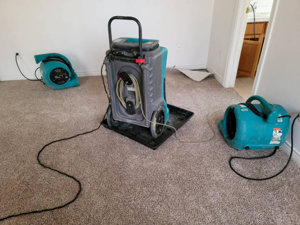 Best Flooded house restoration  in College, AK