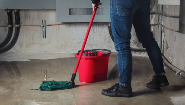 Carpet water damage restoration in AK
