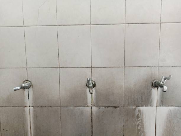 Best Water damage restoration mold remediation  in College, AK