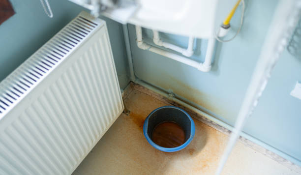 Best Water damage restoration near me  in College, AK
